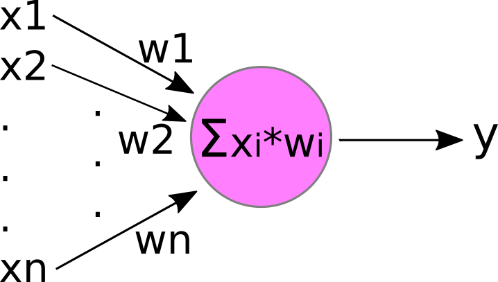 a neuron accepts inputs and sums them to produce an output