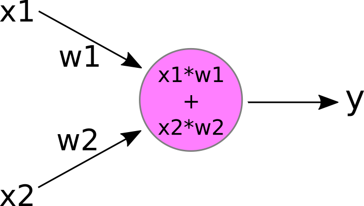 a neuron accepting 2 inputs and summing them to produce an output