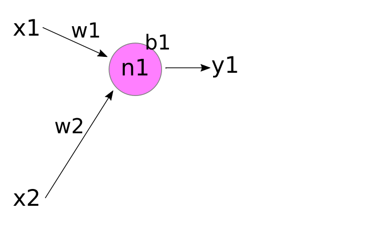 a single neuron with two inputs