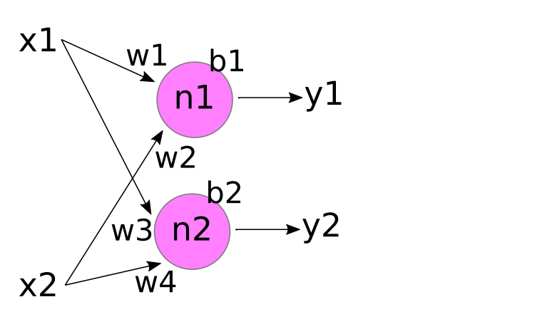 a 2-neuron layer with two inputs