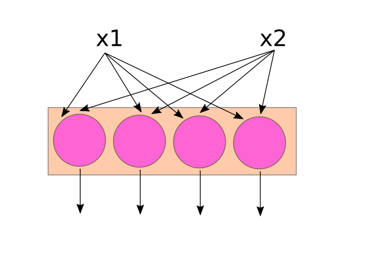 a 4-neuron layer with two inputs, drawn vertically